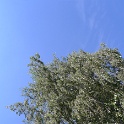 P1180594
